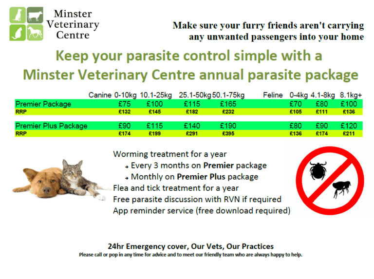 everyone-loves-a-warm-house-especially-fleas