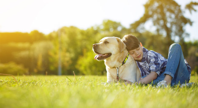 Dog and boy