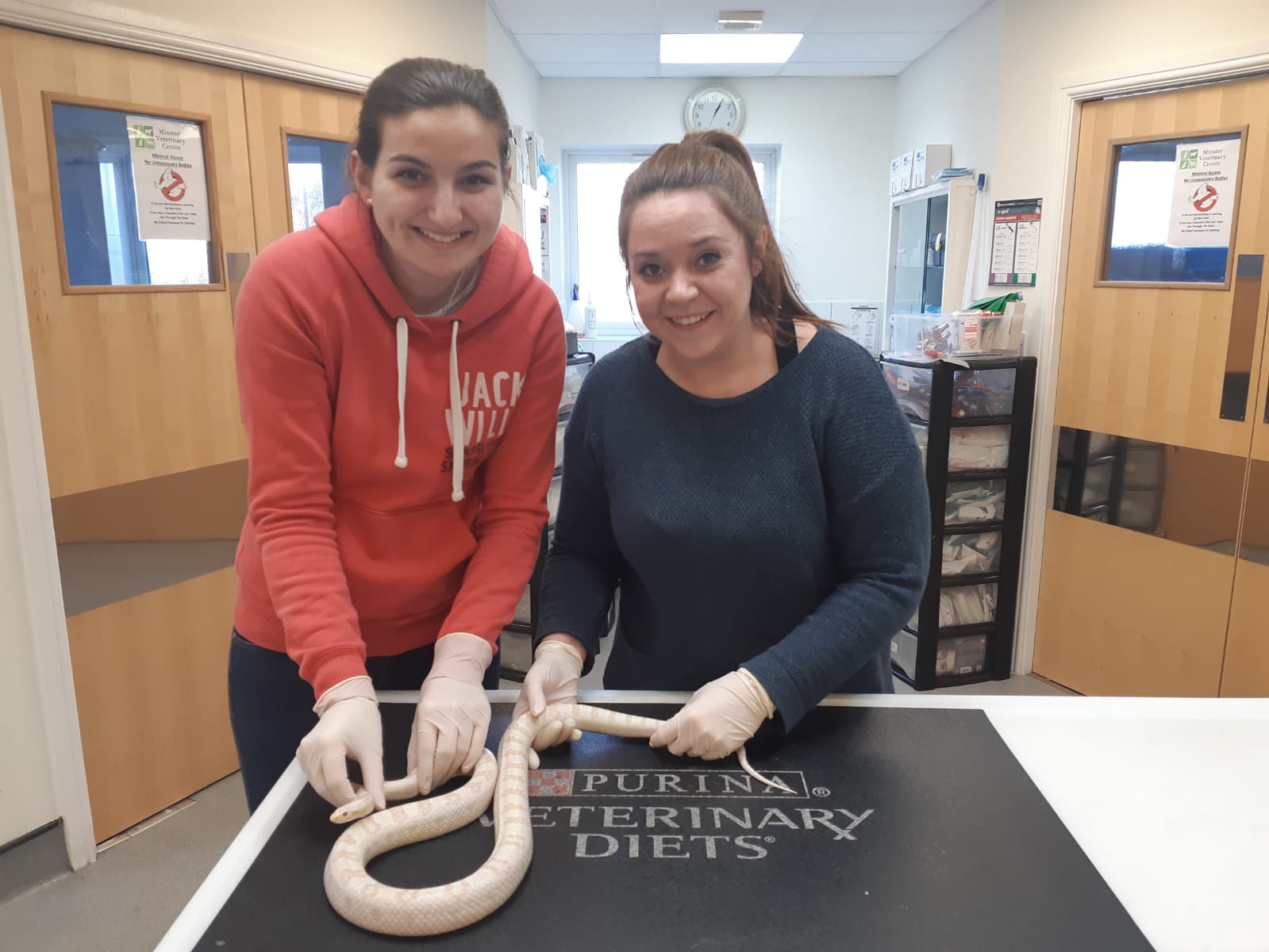 An Ode To Our Veterinary Nurses By Rachel Parkes The Minster