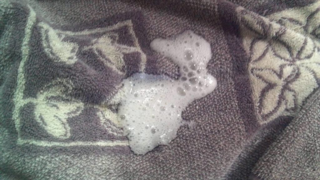 dog throwing up white foam