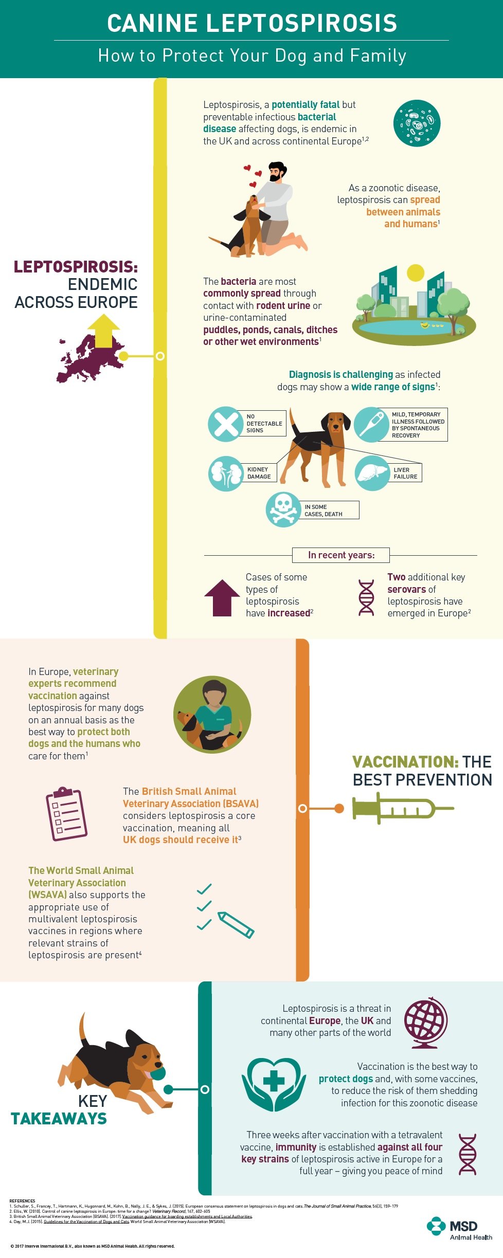 how do they test for leptospirosis in dogs