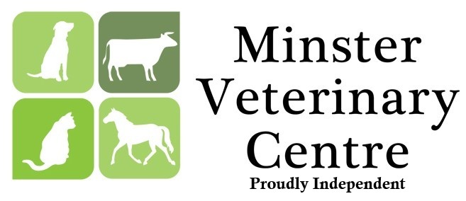 The Minster Veterinary Centre Ltd